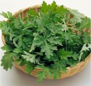 Cách làm đẹp từ lá ngải cứu